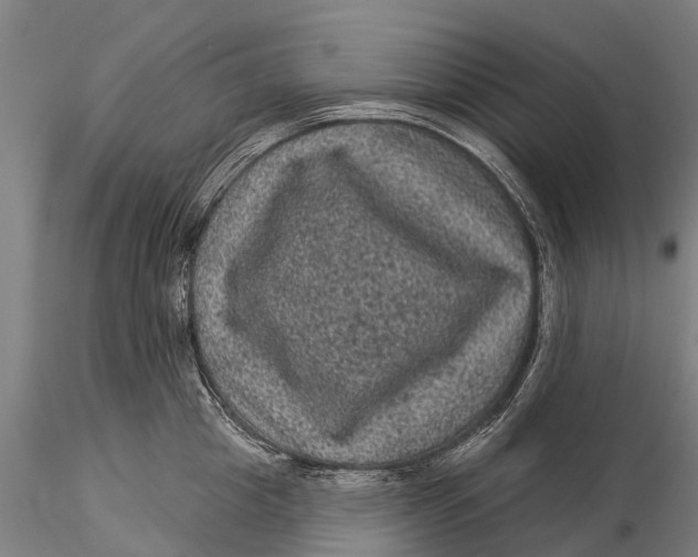 X0000116010857200912101340