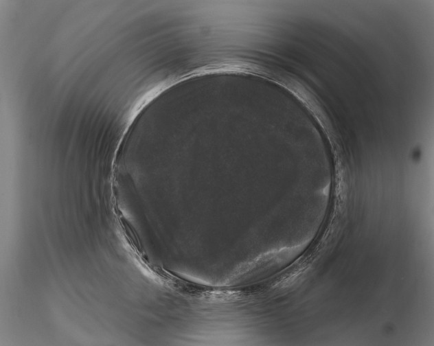 X0000116010858200912101340