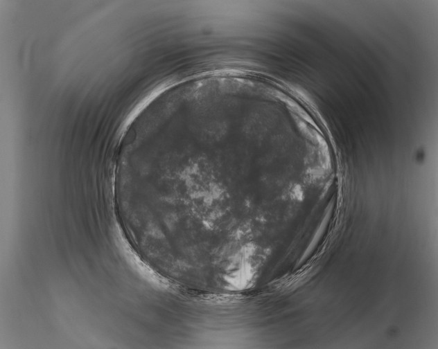 X0000116010859200912101340