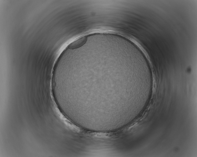 X0000116010861200912101340