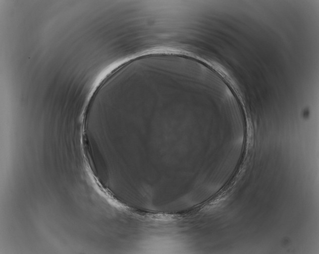 X0000116010862200912101340