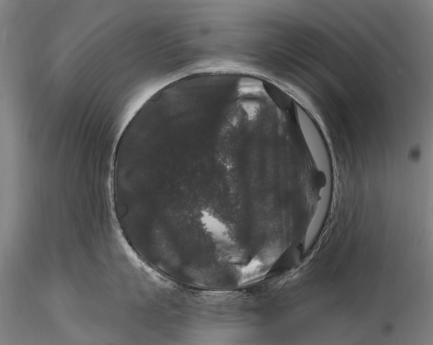 X0000116010863200912101340