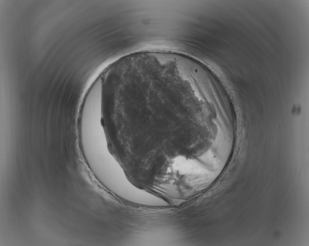 X0000116010864200912101340