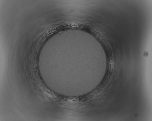 X0000116010865200912101339