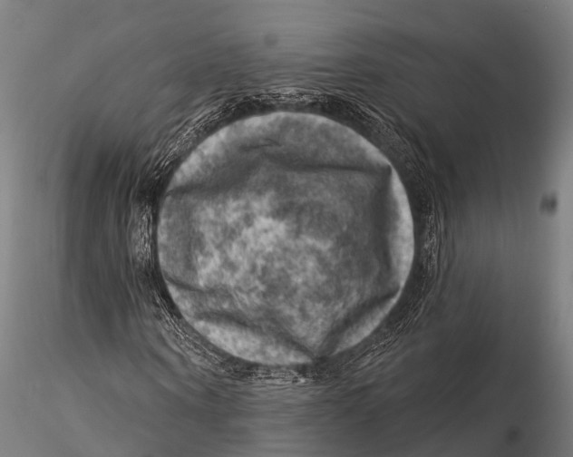 X0000116010866200912101339