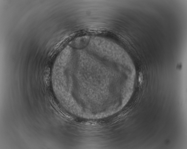 X0000116010867200912101339