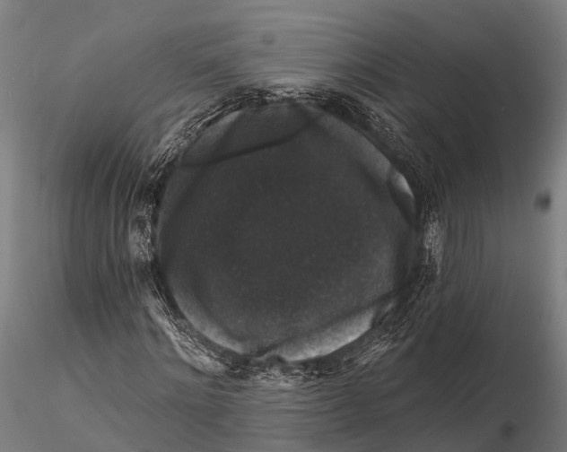 X0000116010868200912101339