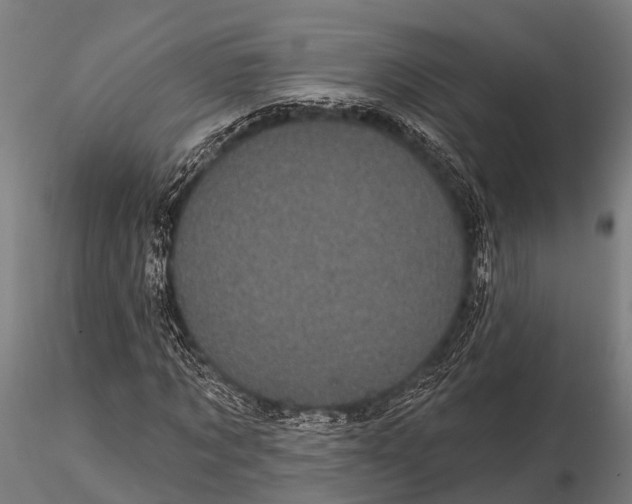 X0000116010869200912101339