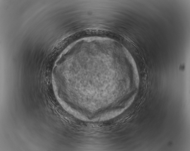 X0000116010870200912101339