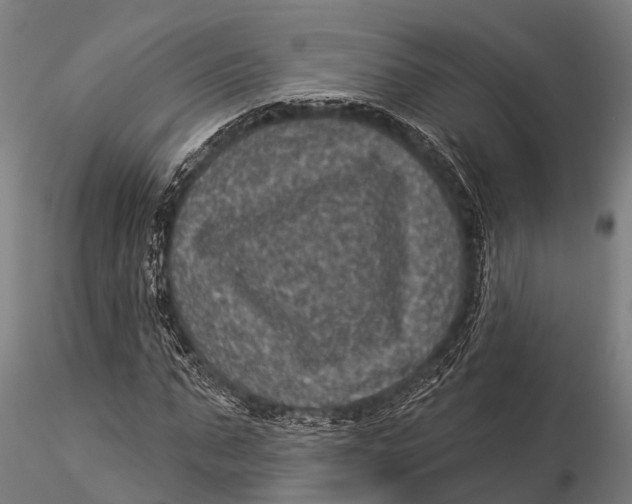 X0000116010871200912101339