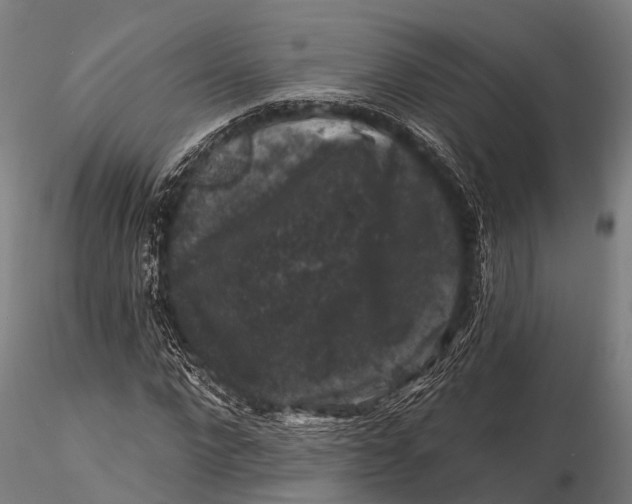 X0000116010872200912101339