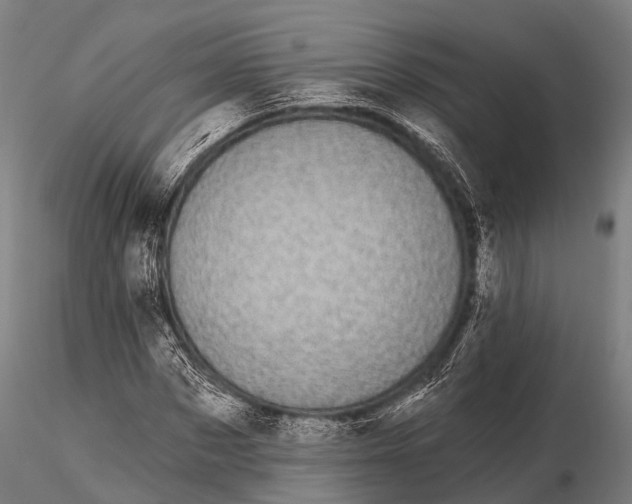 X0000116010873200912101339