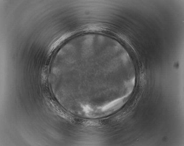 X0000116010874200912101339