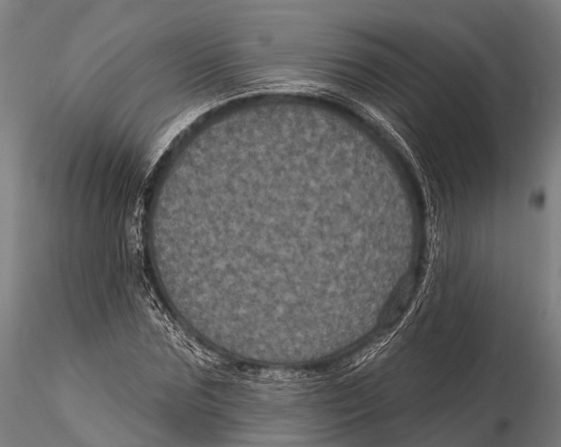 X0000116010875200912101339