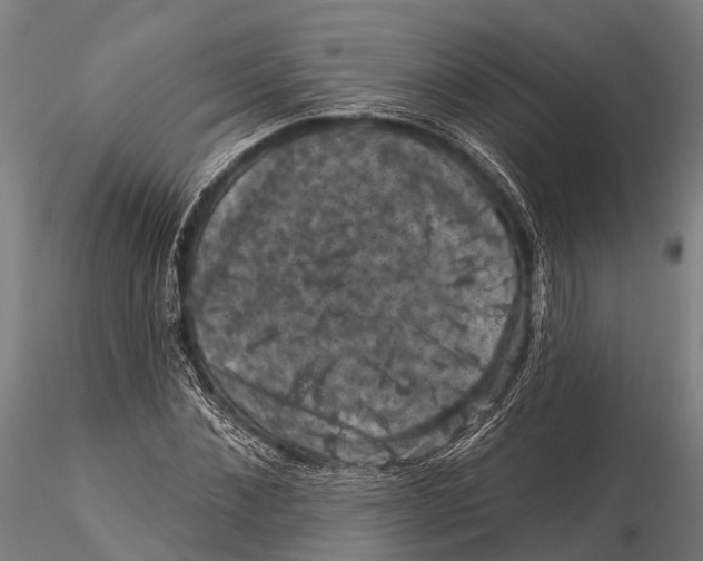 X0000116010876200912101339