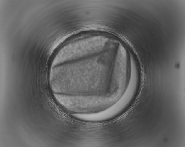 X0000116010877200912101339