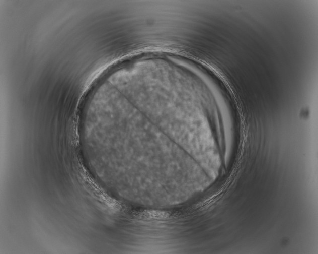 X0000116010878200912101339