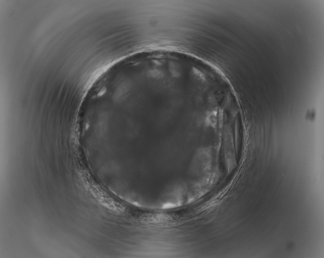 X0000116010879200912101339