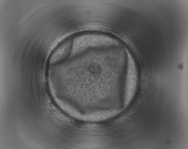 X0000116010880200912101339