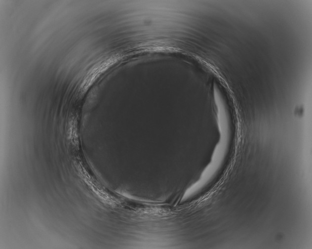 X0000116010881200912101339