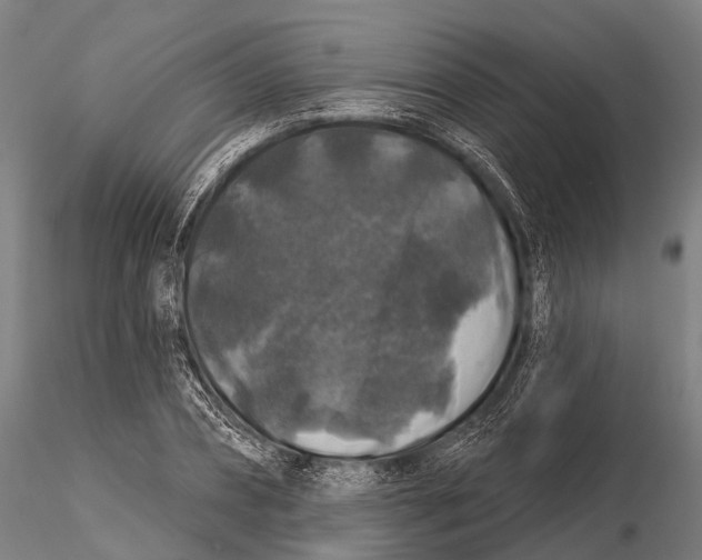 X0000116010882200912101339