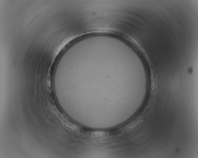 X0000116010883200912101339