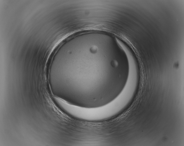 X0000116010884200912101339