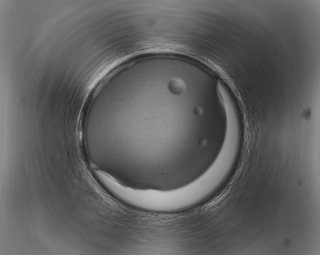 X0000116010885200912101339