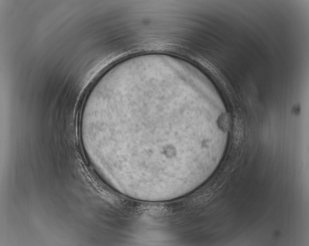 X0000116010886200912101339