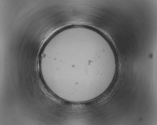 X0000116010887200912101339