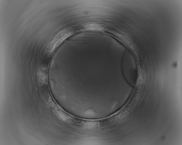 X0000116010889200912101339