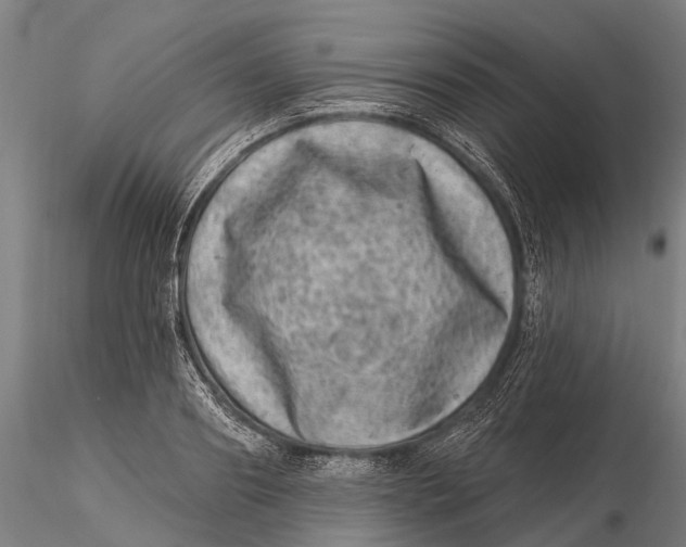 X0000116010890200912101339