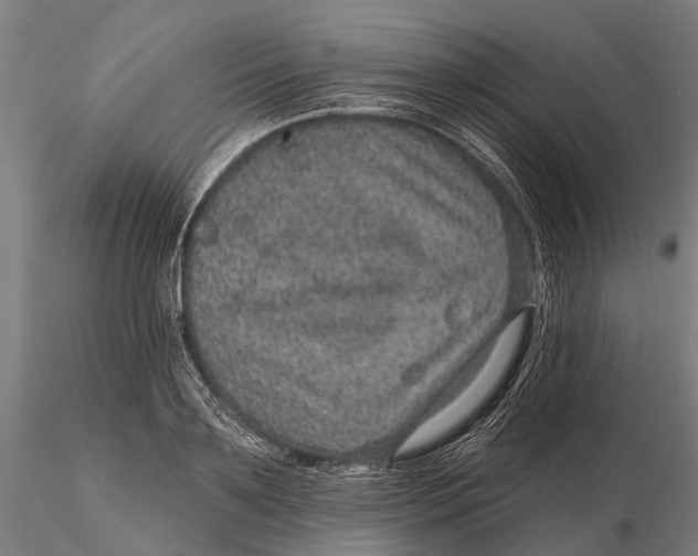 X0000116010891200912101339