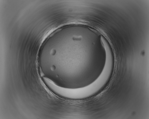 X0000116010893200912101339