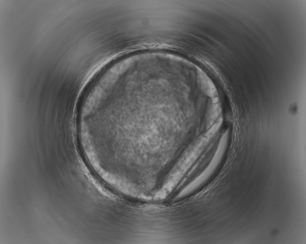 X0000116010894200912101339