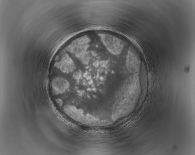 X0000116010895200912101339