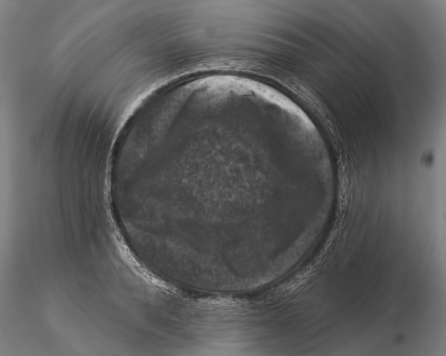 X0000116010896200912101339