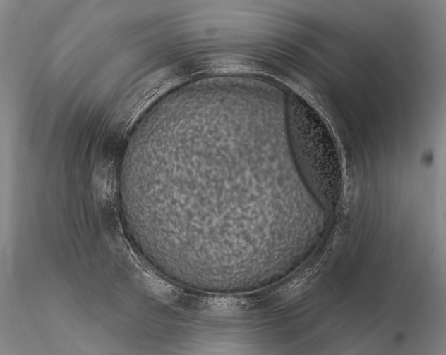 X0000116010897200912101338