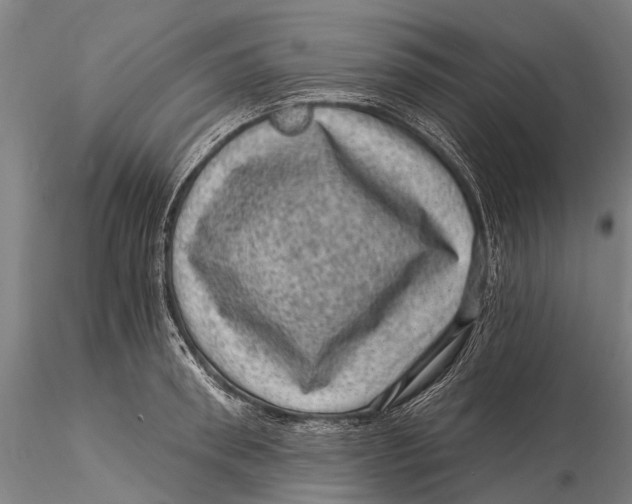 X0000116010898200912101338