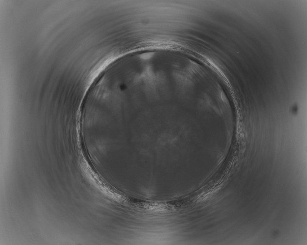 X0000116010899200912101338