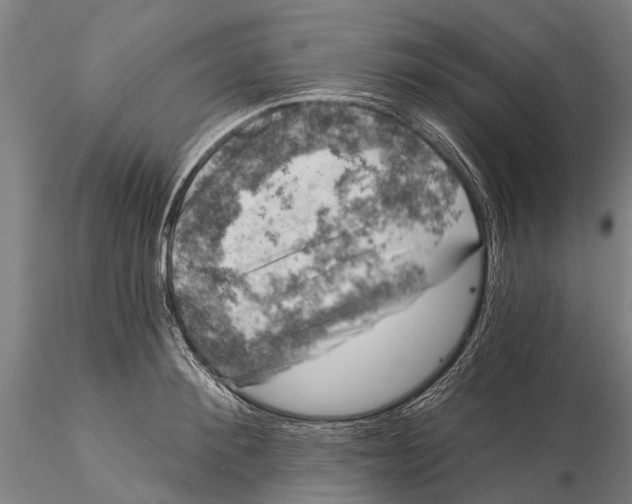 X0000116010900200912101338