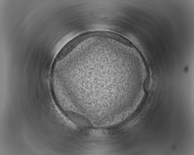 X0000116010901200912101338