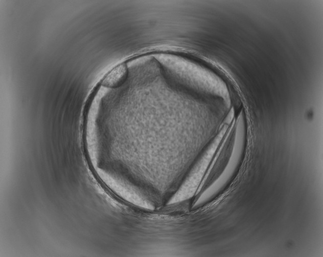 X0000116010902200912101338