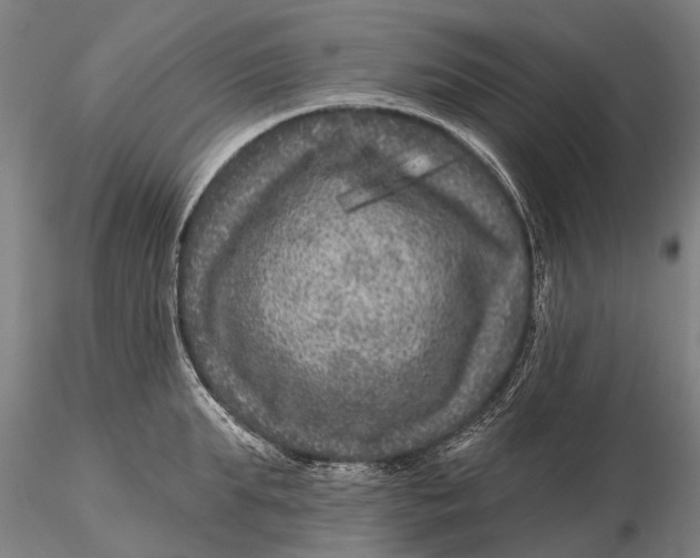 X0000116010903200912101338