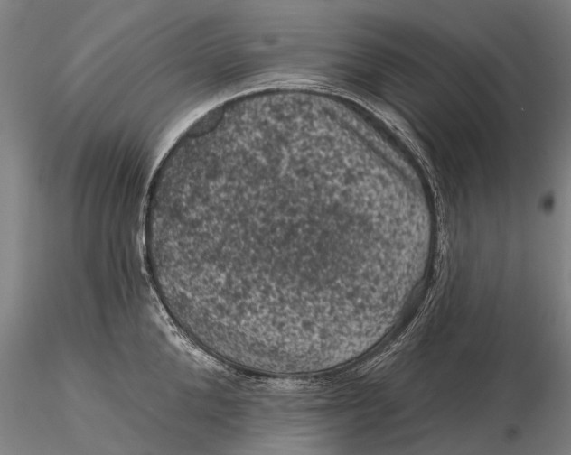 X0000116010904200912101338