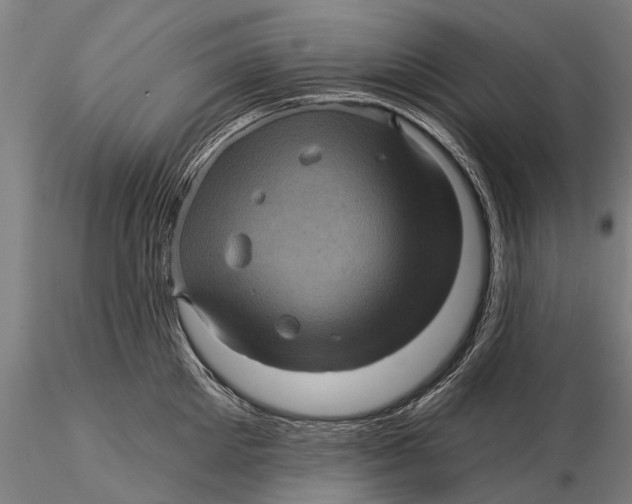 X0000116010905200912101338