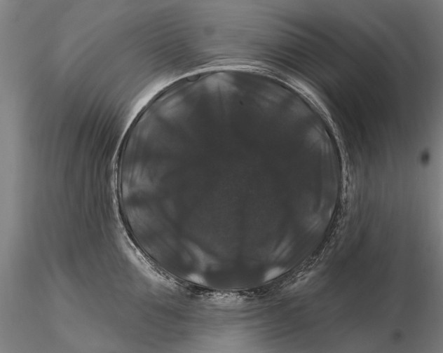 X0000116010907200912101338