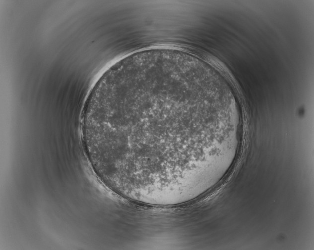 X0000116010908200912101338