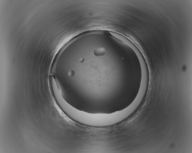 X0000116010909200912101338