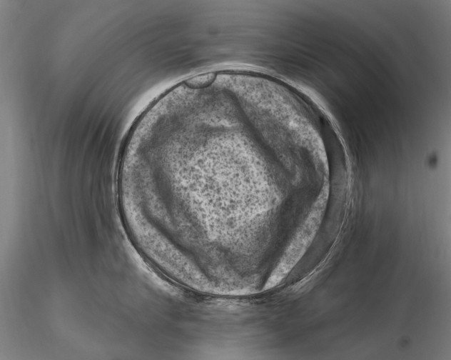 X0000116010910200912101338